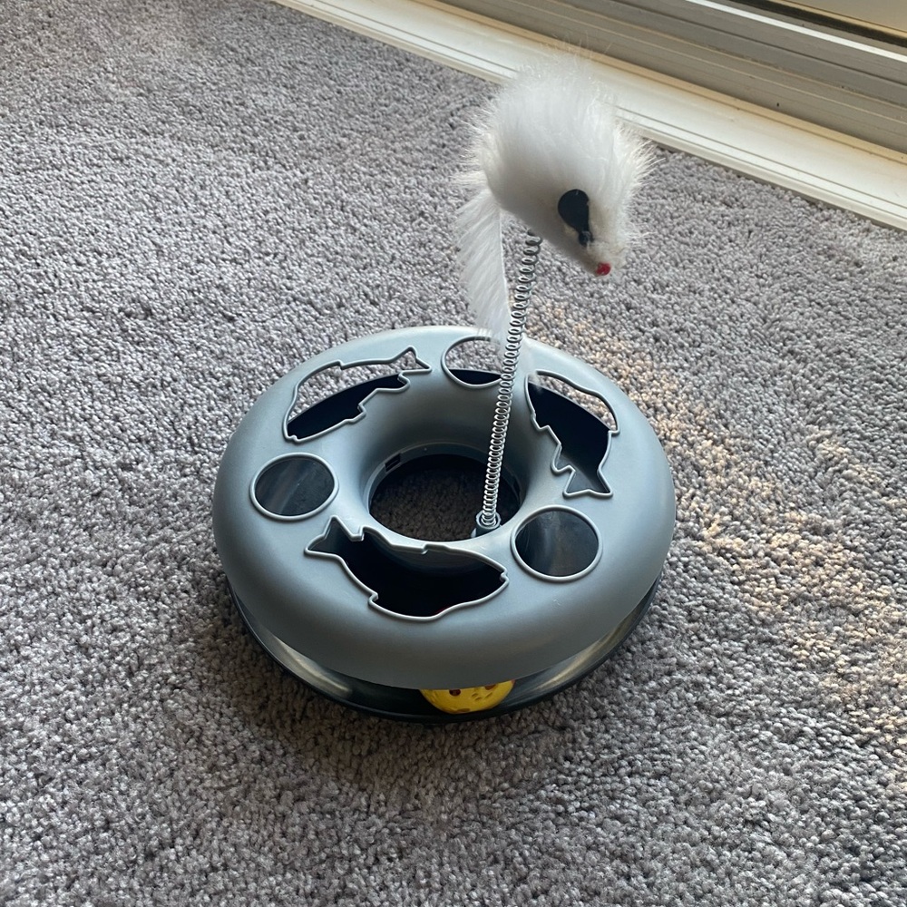 Cat toy